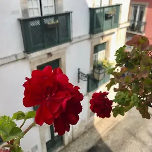  Appartamento In The Heart Of